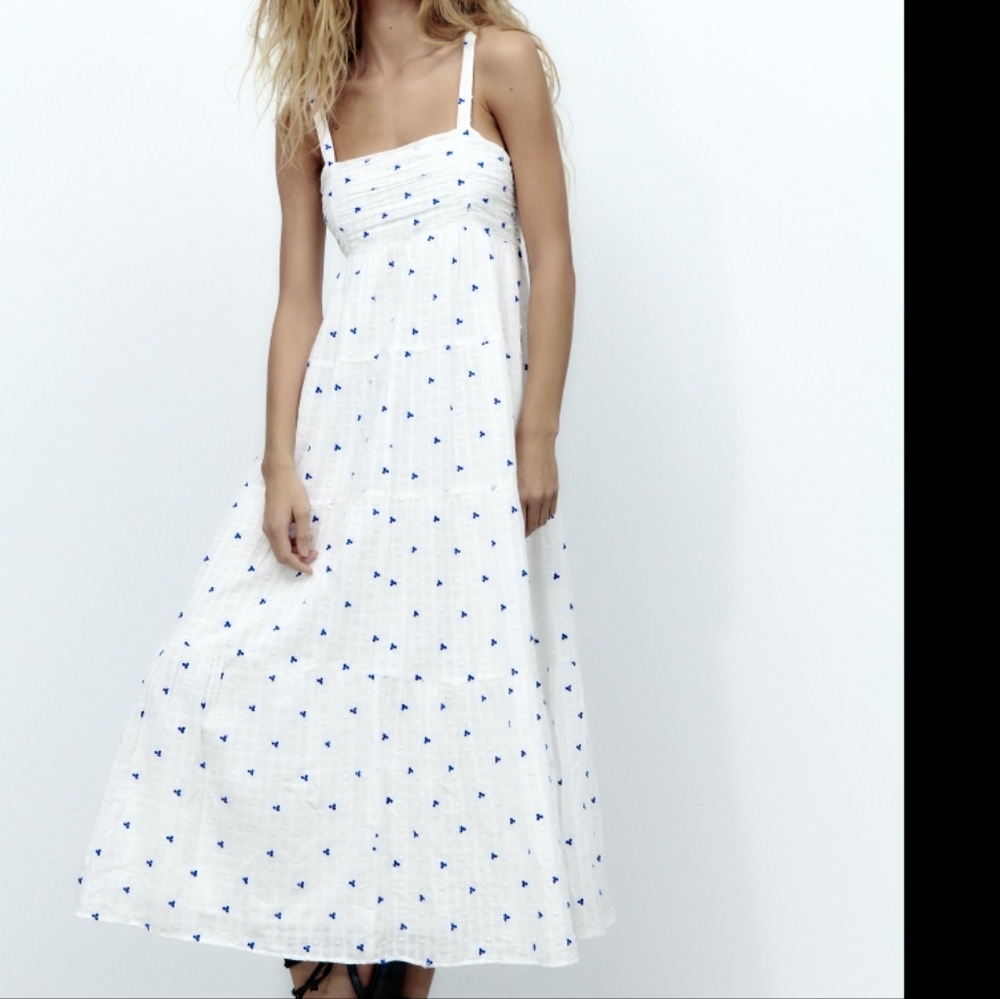 Zara Embroidered Dress - Picture 9 of 12